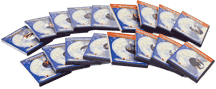 Job Readiness CD-ROM series